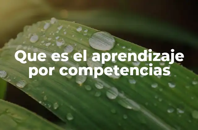 Que es el Aprendizaje por Competencias