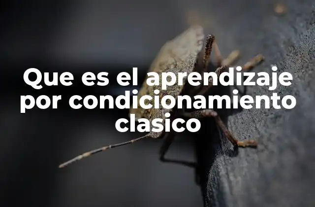 Que es el Aprendizaje por Condicionamiento Clasico