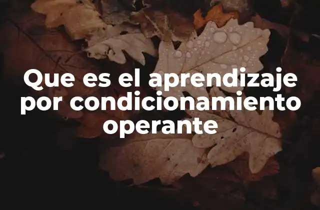 Que es el Aprendizaje por Condicionamiento Operante