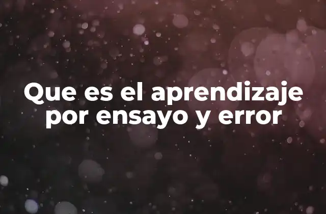 Que es el Aprendizaje por Ensayo y Error 2 El proceso detrás del aprendizaje basado en experimentación