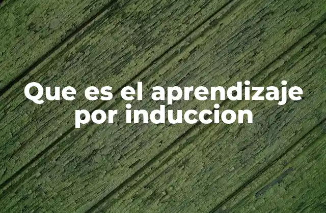 Que es el Aprendizaje por Induccion