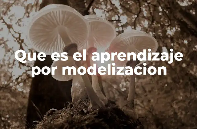 Que es el Aprendizaje por Modelizacion