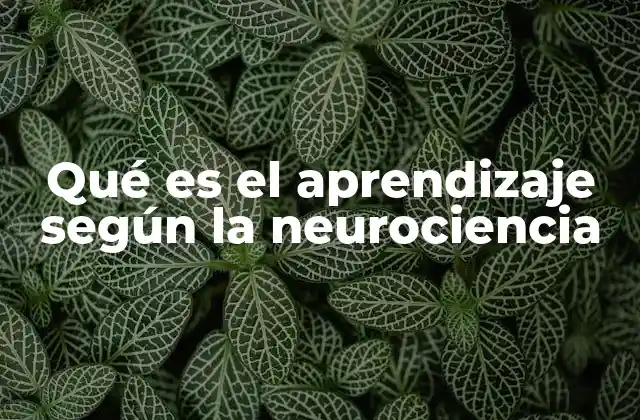 Qué es el Aprendizaje según la Neurociencia