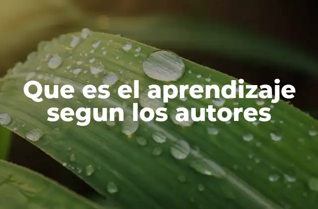 Que es el Aprendizaje Segun los Autores