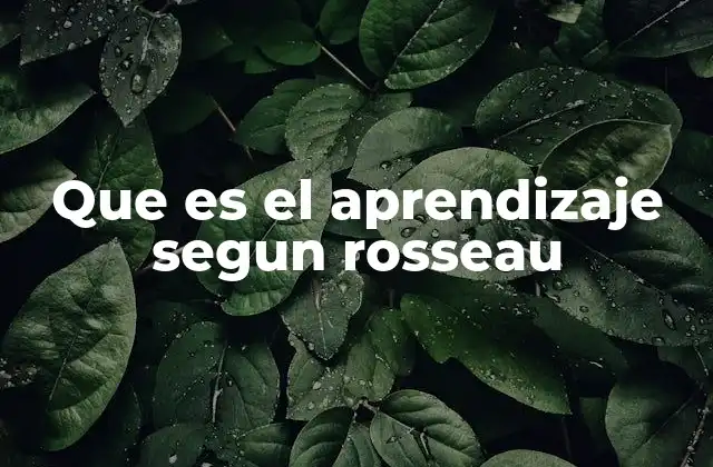 Que es el Aprendizaje Segun Rosseau