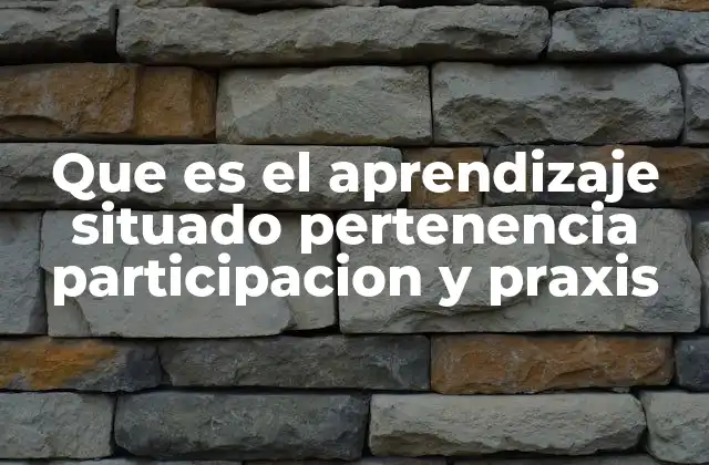 Que es el Aprendizaje Situado Pertenencia Participacion y Praxis