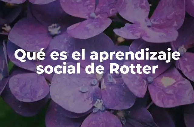 Qué es el Aprendizaje Social de Rotter
