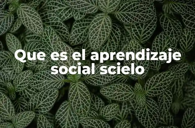 Que es el Aprendizaje Social Scielo