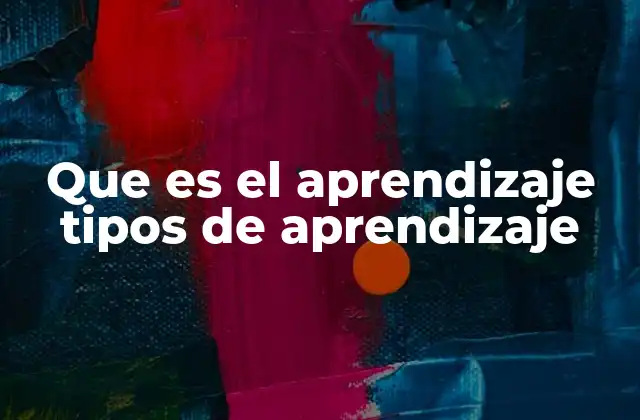 Que es el Aprendizaje Tipos de Aprendizaje