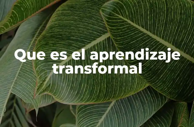 Que es el Aprendizaje Transformal