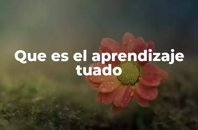 El aprendizaje personalizado y su relación con el aprendizaje tuado