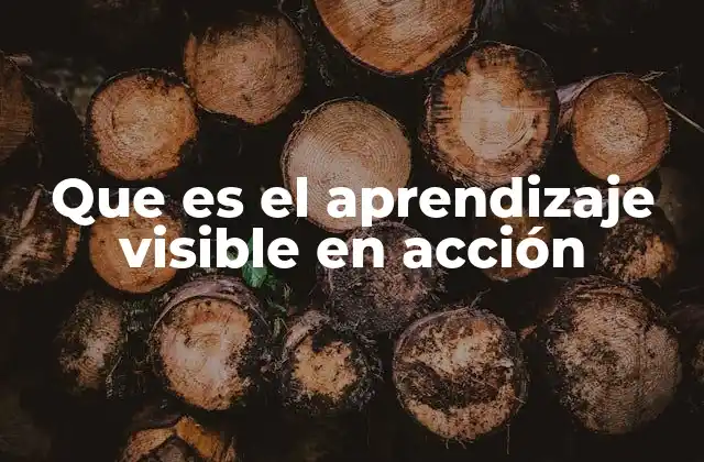 Que es el Aprendizaje Visible en Acción