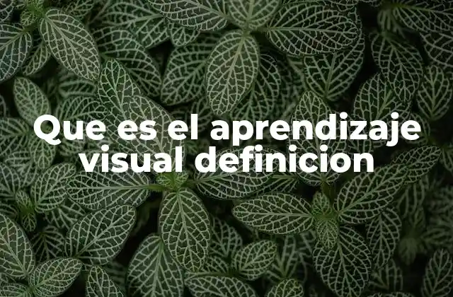 Que es el Aprendizaje Visual Definicion