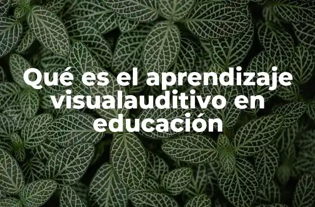 Qué es el Aprendizaje Visualauditivo en Educación