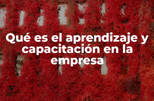 Qué es el Aprendizaje y Capacitación en la Empresa