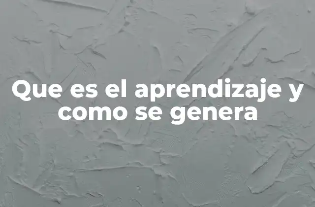 Que es el Aprendizaje y como Se Genera