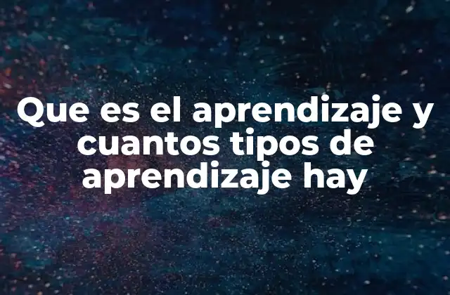 Que es el Aprendizaje y Cuantos Tipos de Aprendizaje Hay