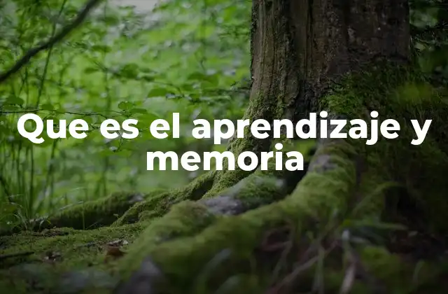 Que es el Aprendizaje y Memoria