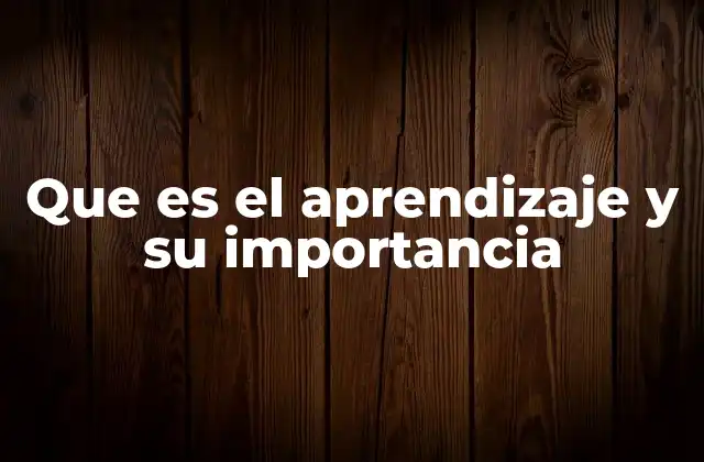 Que es el Aprendizaje y Su Importancia