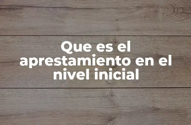 Que es el Aprestamiento en el Nivel Inicial