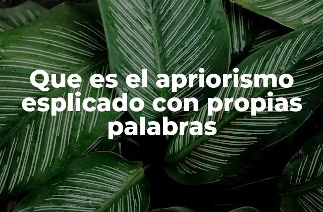 Que es el Apriorismo Esplicado con Propias Palabras