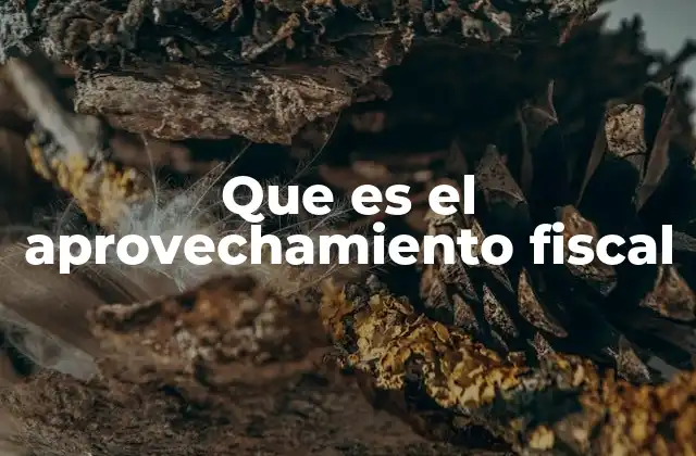 Que es el Aprovechamiento Fiscal