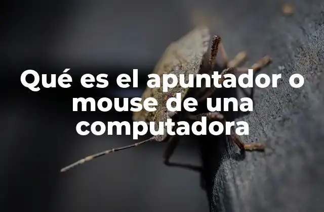 Cómo funciona el sistema apuntador-mouse en una computadora