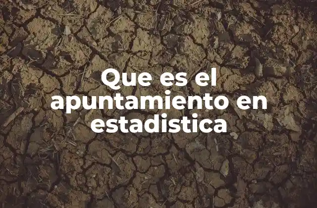 Que es el Apuntamiento en Estadistica