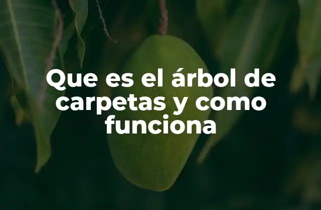 Que es el Árbol de Carpetas y como Funciona