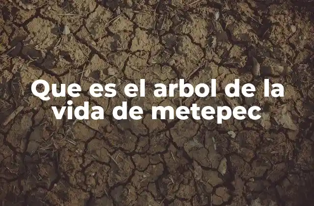 Que es el Arbol de la Vida de Metepec