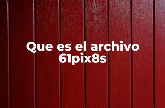 Que es el Archivo 61pix8s