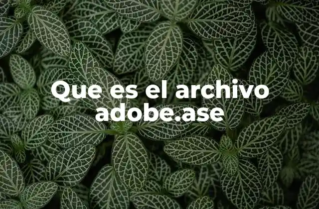 Que es el Archivo Adobe.ase 2 El uso de paletas de color en el diseño digital