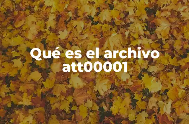 Qué es el Archivo Att00001