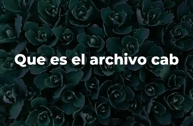 El papel del archivo CAB en la distribución de software