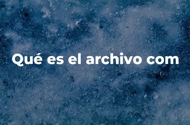 Qué es el Archivo Com