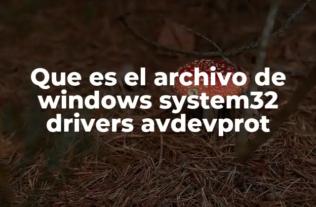 El rol de los archivos .sys en Windows