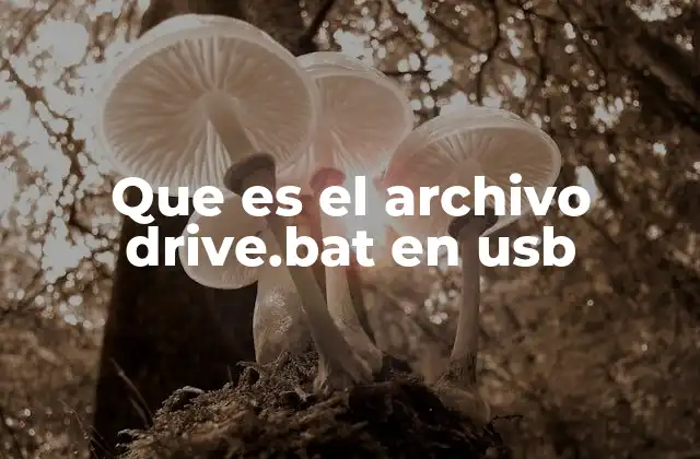 Que es el Archivo Drive.bat en Usb