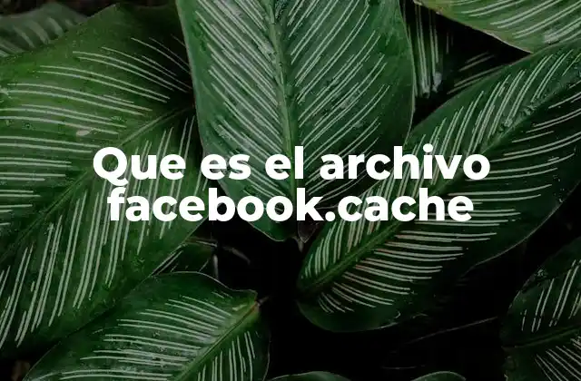Cómo se crea y gestiona el archivo facebook.cache