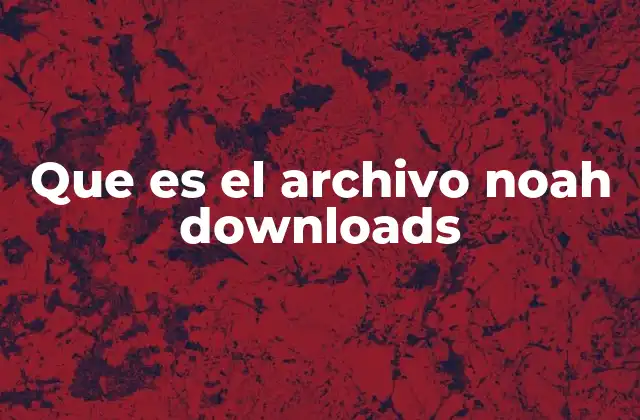 Que es el Archivo Noah Downloads