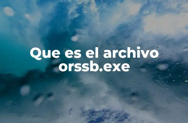 Que es el Archivo Orssb.exe