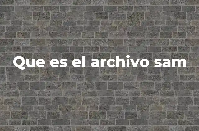 Que es el Archivo Sam