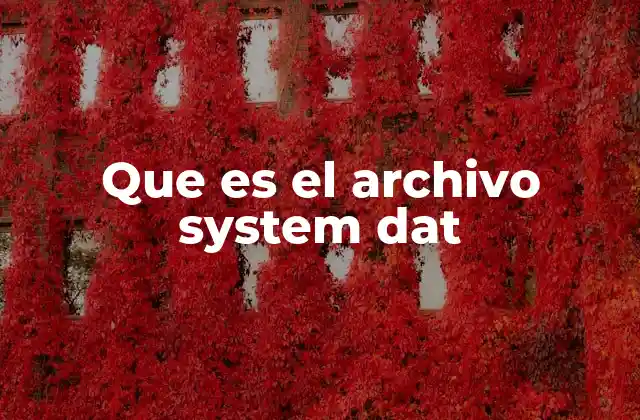 Que es el Archivo System Dat