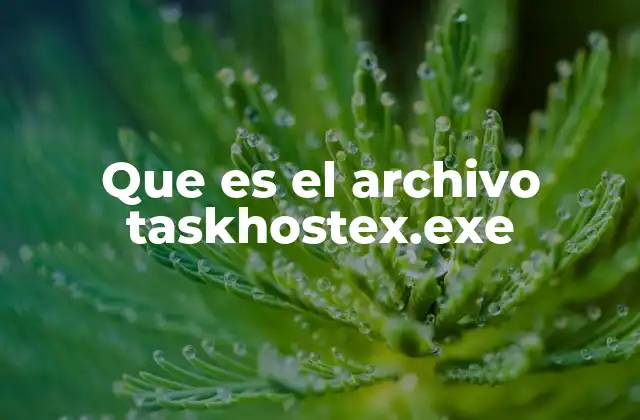 Que es el Archivo Taskhostex.exe 2 El papel del proceso taskhostex.exe en la gestión de tareas del sistema