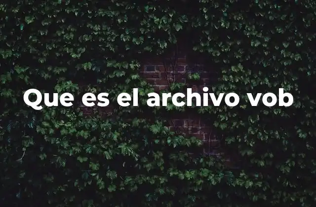 Que es el Archivo Vob