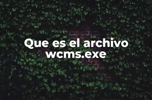 Que es el Archivo Wcms.exe