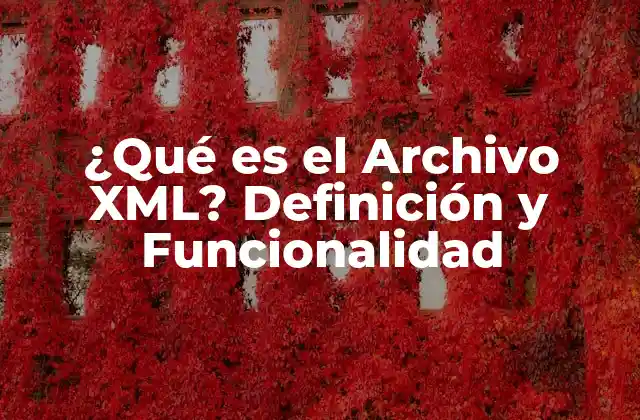 ¿qué es el Archivo Xml? Definición y Funcionalidad