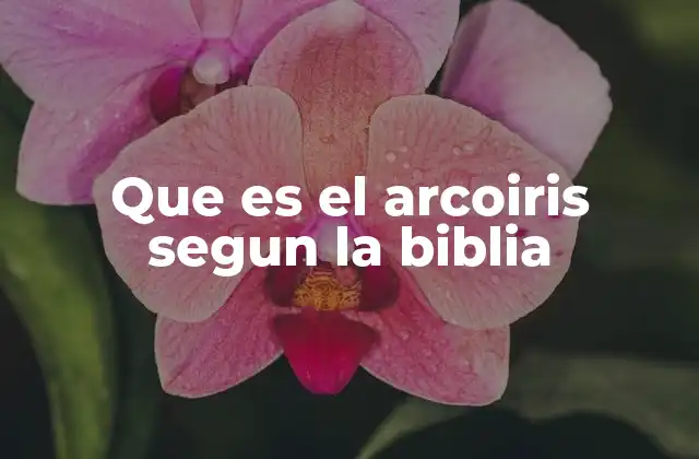Que es el Arcoiris Segun la Biblia