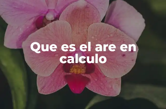 Que es el Are en Calculo