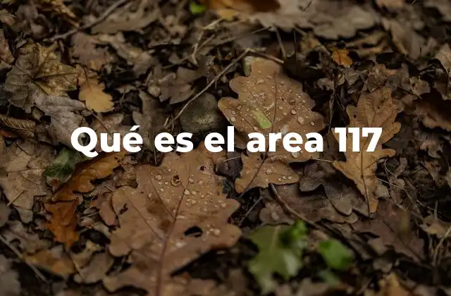 Qué es el Area 117