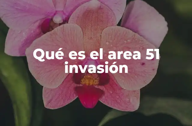 Qué es el Area 51 Invasión